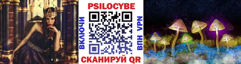 магазин    Чегем  Псилоцибиновые грибы мухоморы 