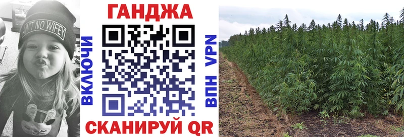 Бошки марихуана планчик  Чегем 
